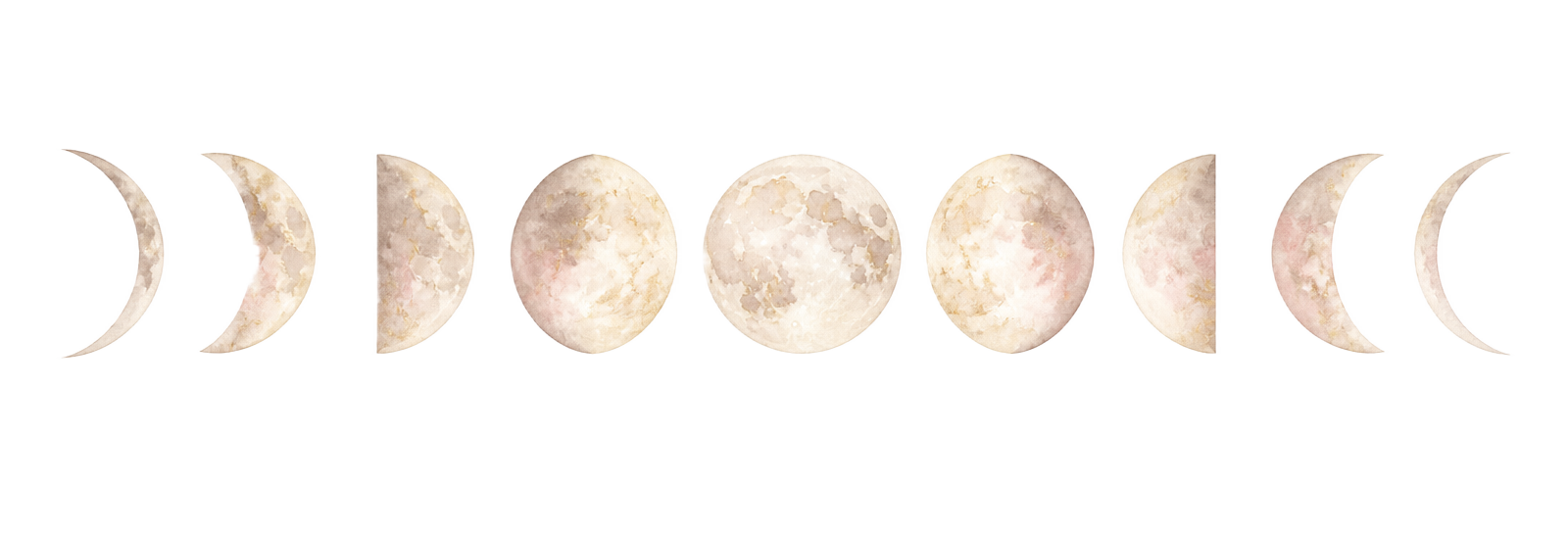 Ilustración en acuarela de las ocho fases de la luna
